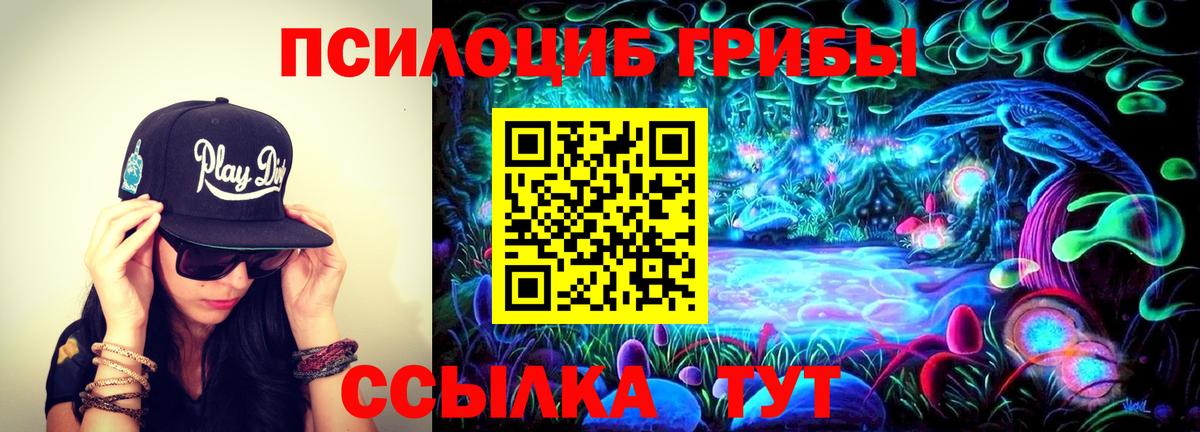 Псилоцибиновые грибы мухоморы  Псилоцибиновые грибы Psilocybe  Вход с VPN  магазин    Тихорецк 